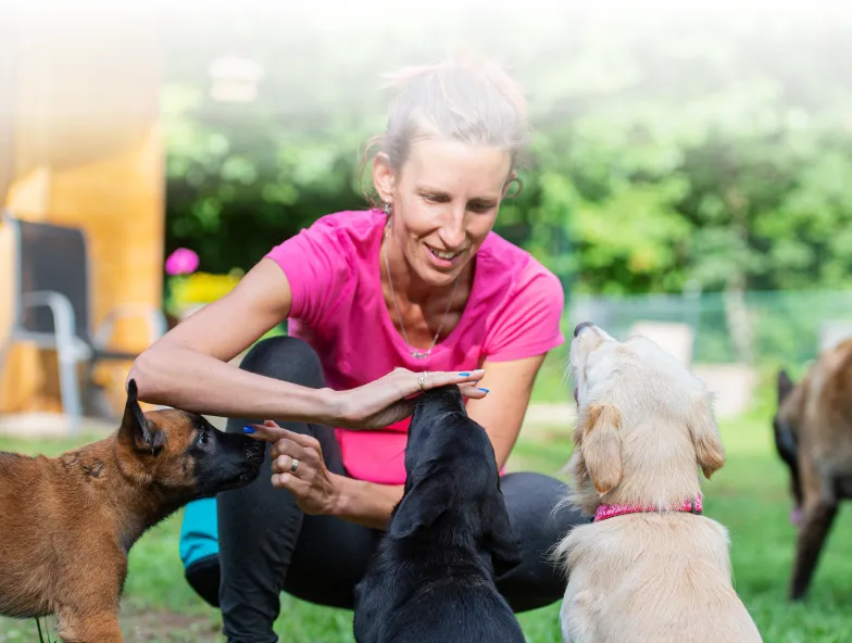 Woman in pink shirt crouching and petting black dog, with brown and golden dogs nearby in a grassy backyard.