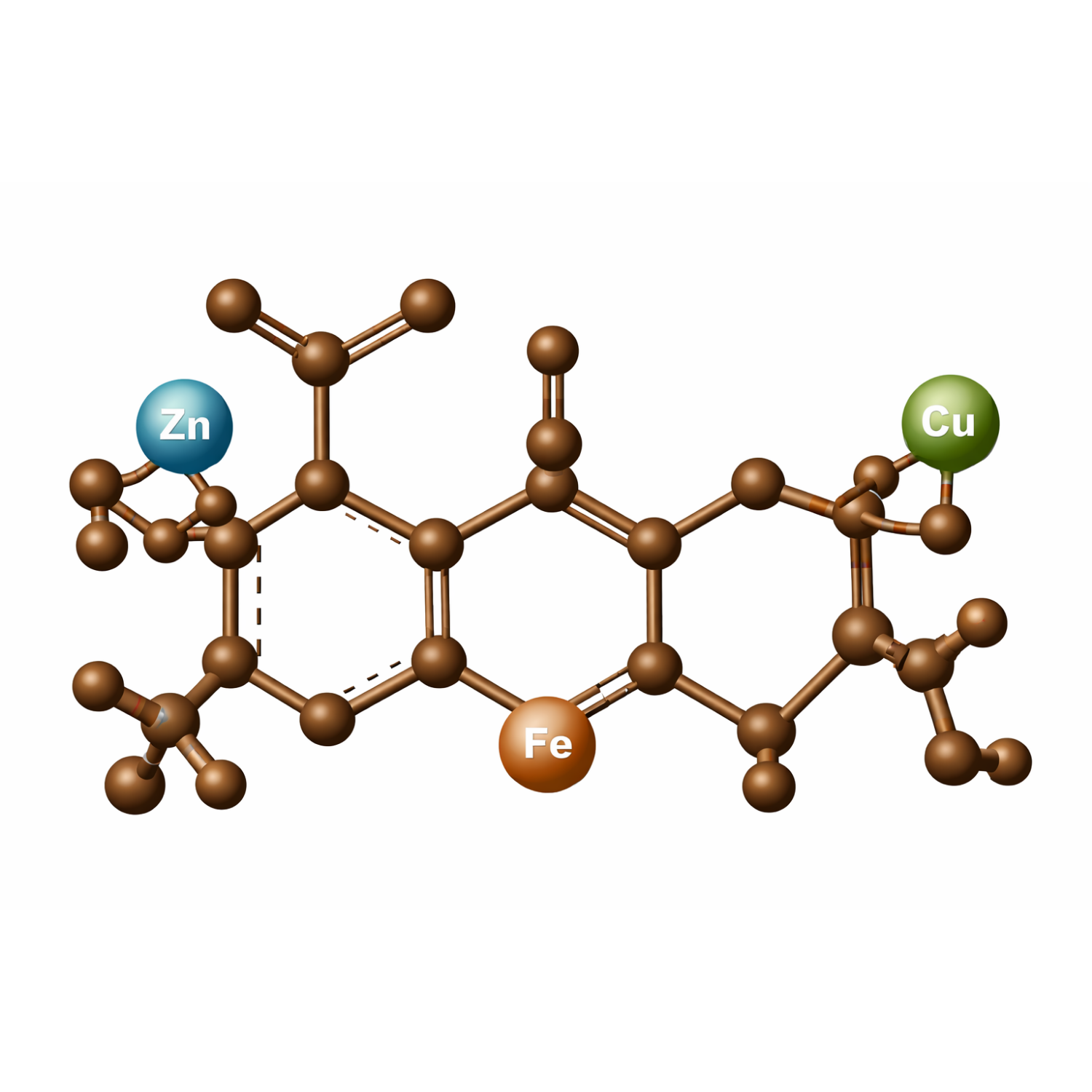 Illustration of fulvic acids with molecular structure connecting to roots and labeled elements Fe, Zn, and Mn.