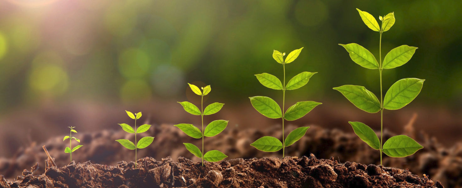 How We’re Taking Steps in 2019 Towards 2020