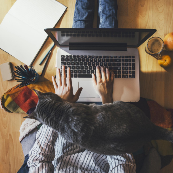 Thriving in the “New Normal”