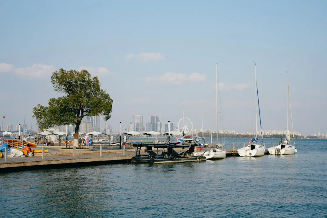 gig harbor waterfront - ductless mini-split tune-up in gig harbor, wa