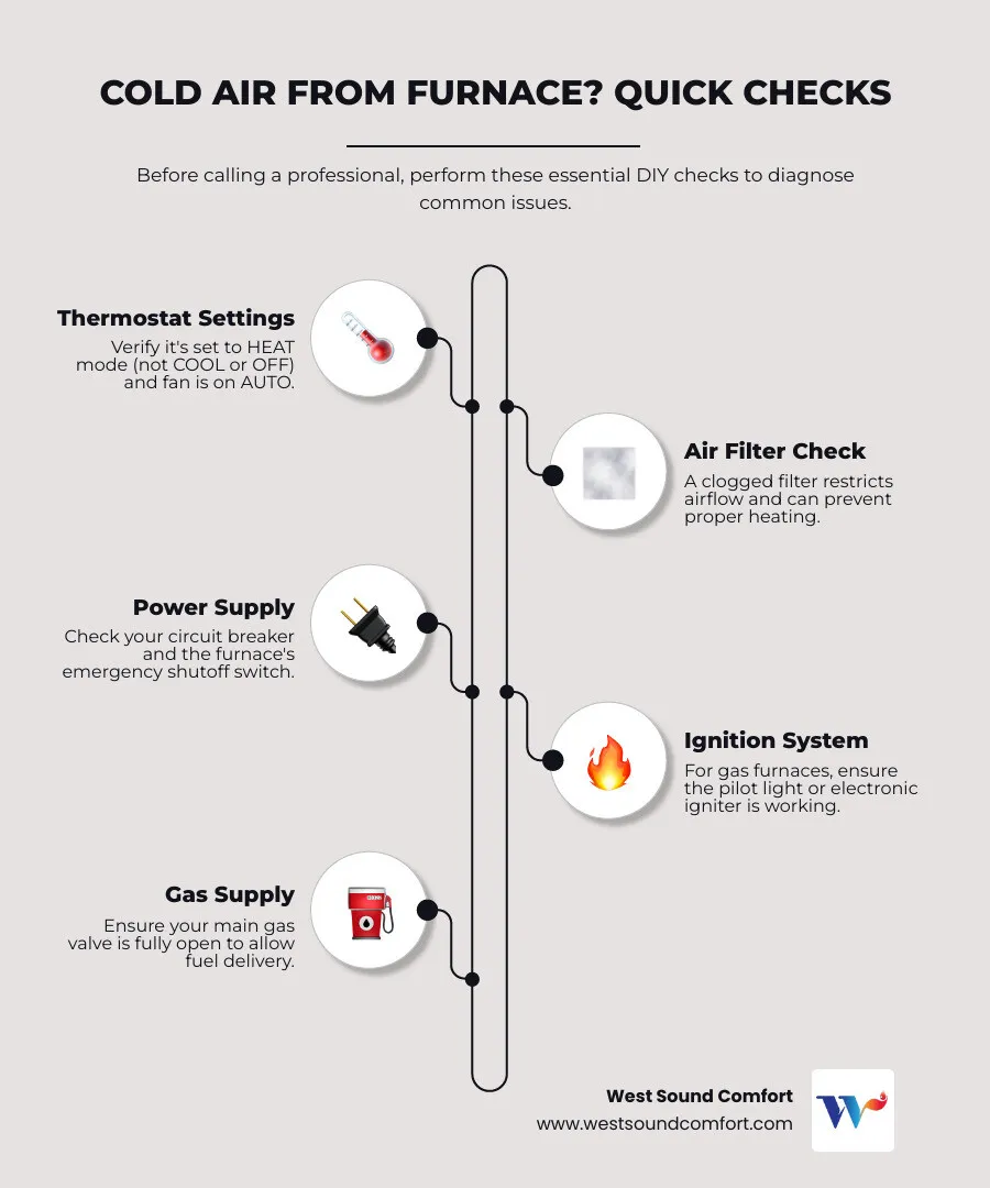 Infographic showing the diagnostic flowchart for a furnace blowing cold air: Start with thermostat check, move to filter inspection, check power supply, inspect pilot light or igniter for gas furnaces, verify heating elements for electric furnaces, and finally check for ductwork or condensate line issues - furnace blowing cold air in burley, wa infographic infographic-line-5-steps-elegant_beige