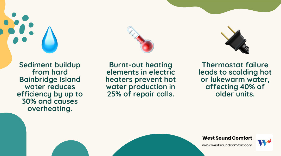 infographic showing common water heater problems on Bainbridge Island including sediment buildup, thermostat failure, heating element issues, pressure relief valve problems, and signs like no hot water, rumbling noises, rusty water, and leaks - best water heater repair in bainbridge island, wa infographic 3_facts_emoji_nature