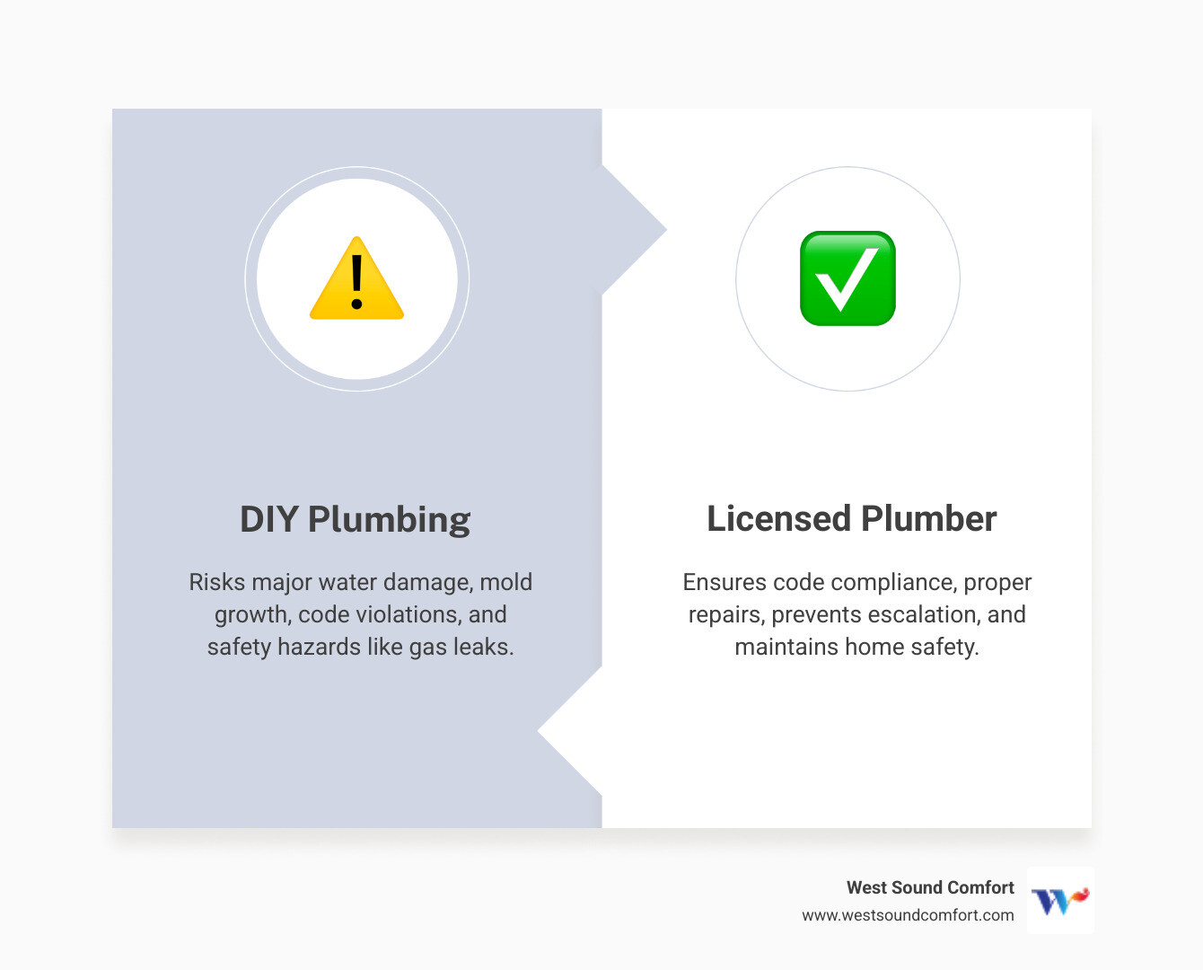infographic comparing DIY plumbing tasks vs plumbing issues that require a licensed plumber - plumbing issues that require a