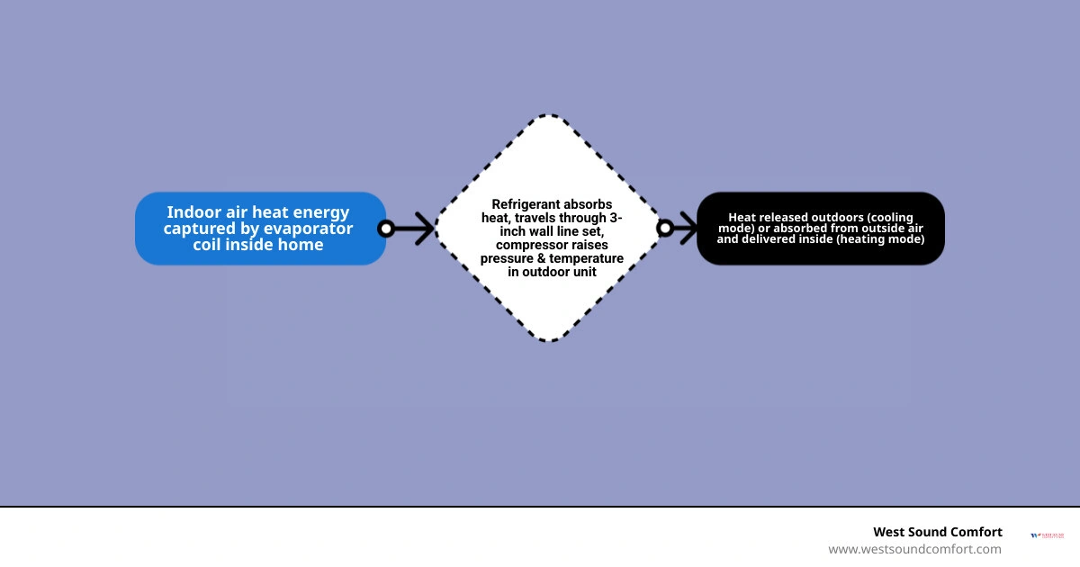 Infographic showing how a ductless mini split moves heat between indoor and outdoor units with key homeowner benefits listed Infographic showing how a ductless mini split moves heat between indoor and outdoor units with key homeowner benefits listed