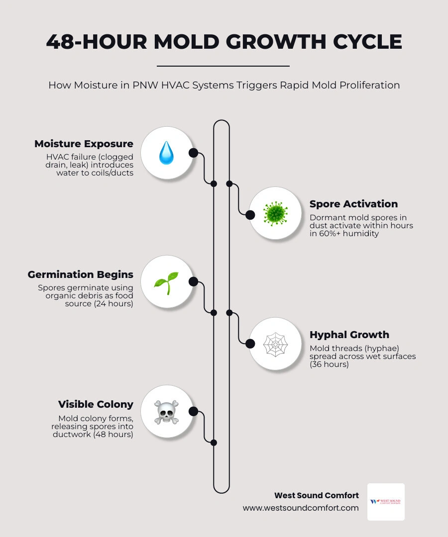 Infographic showing the 48-hour mold growth cycle inside a damp HVAC system with humidity thresholds and risk zones