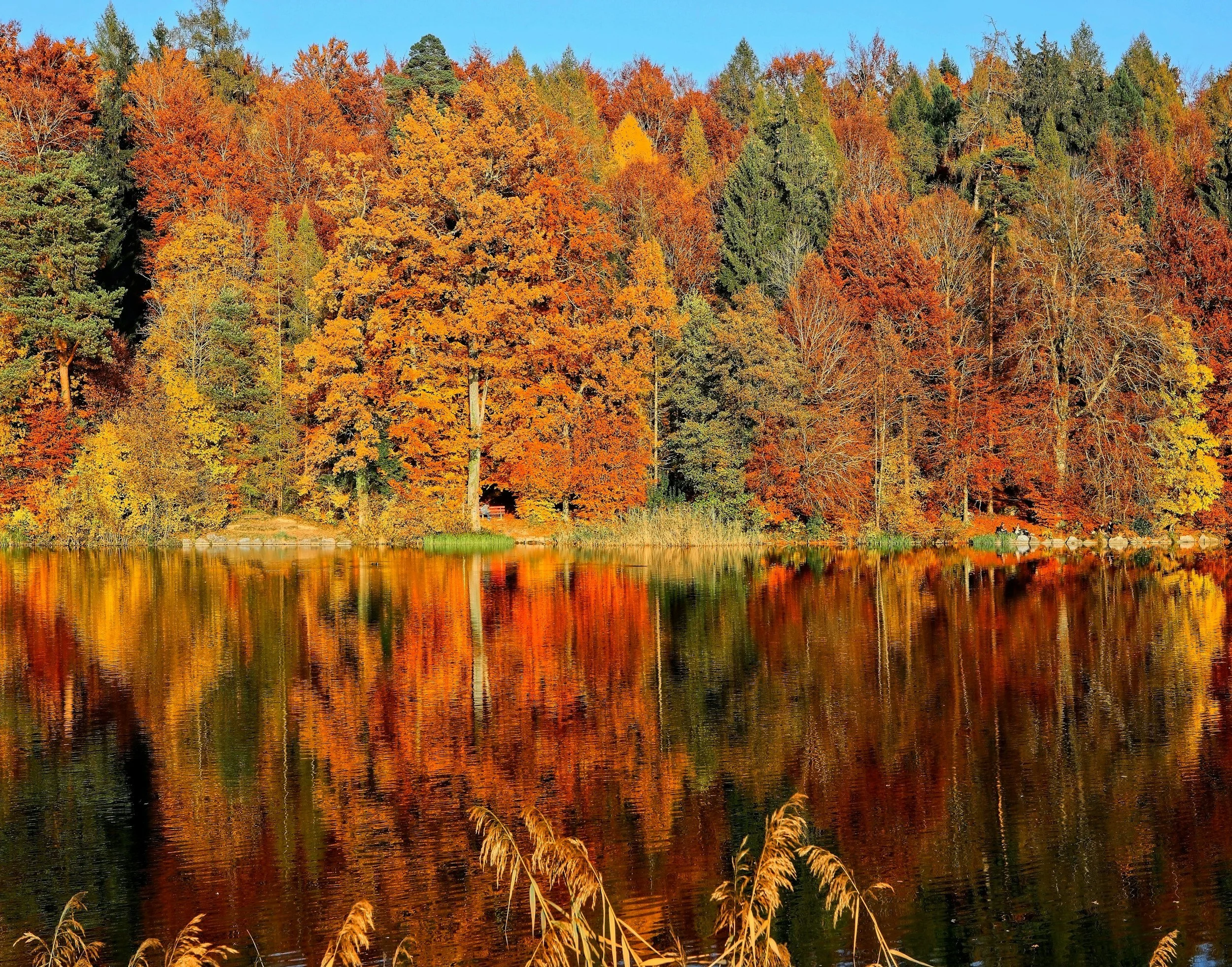 5 Energy-Saving Moves for the First Cold Snap in the Pacific Northwest