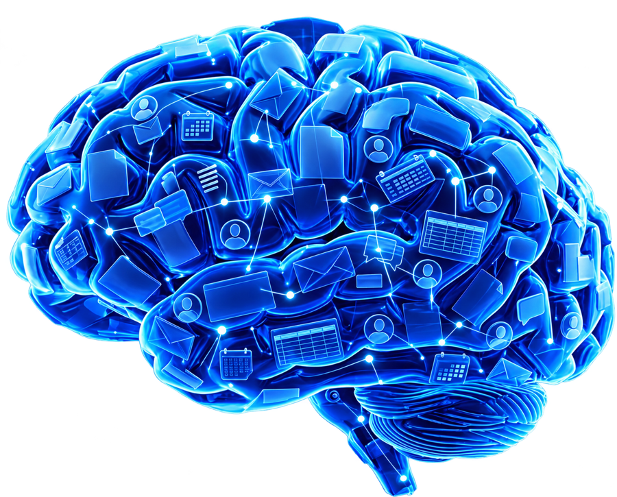 Mozek B/ue Brain
