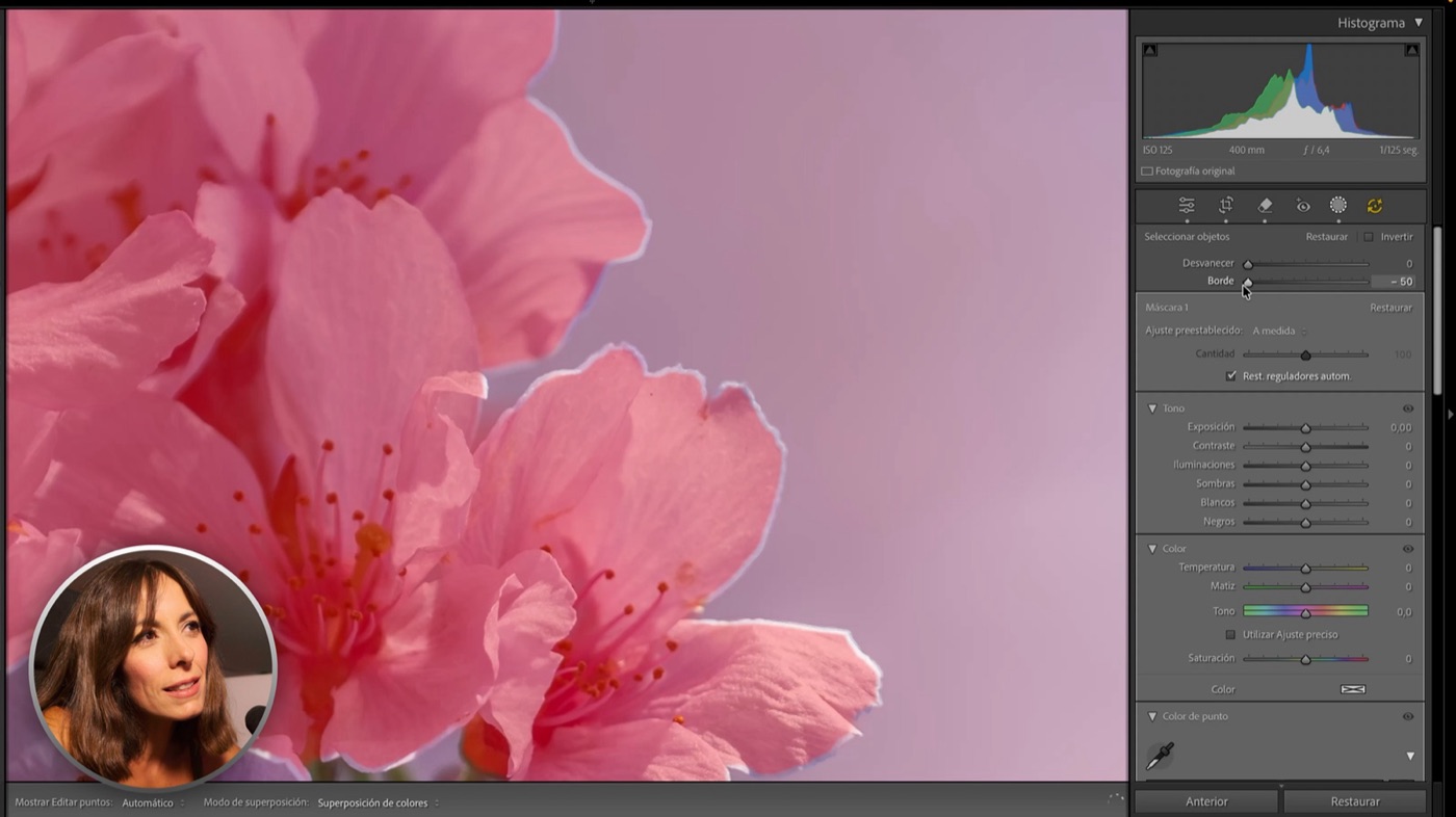 Lightroom Classic con los deslizadores Desvanecer y Borde sobre flores de cerezo