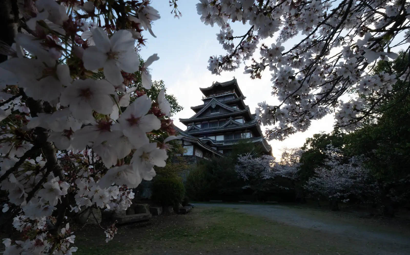 Antes: castillo japonés entre cerezos, sin revelar