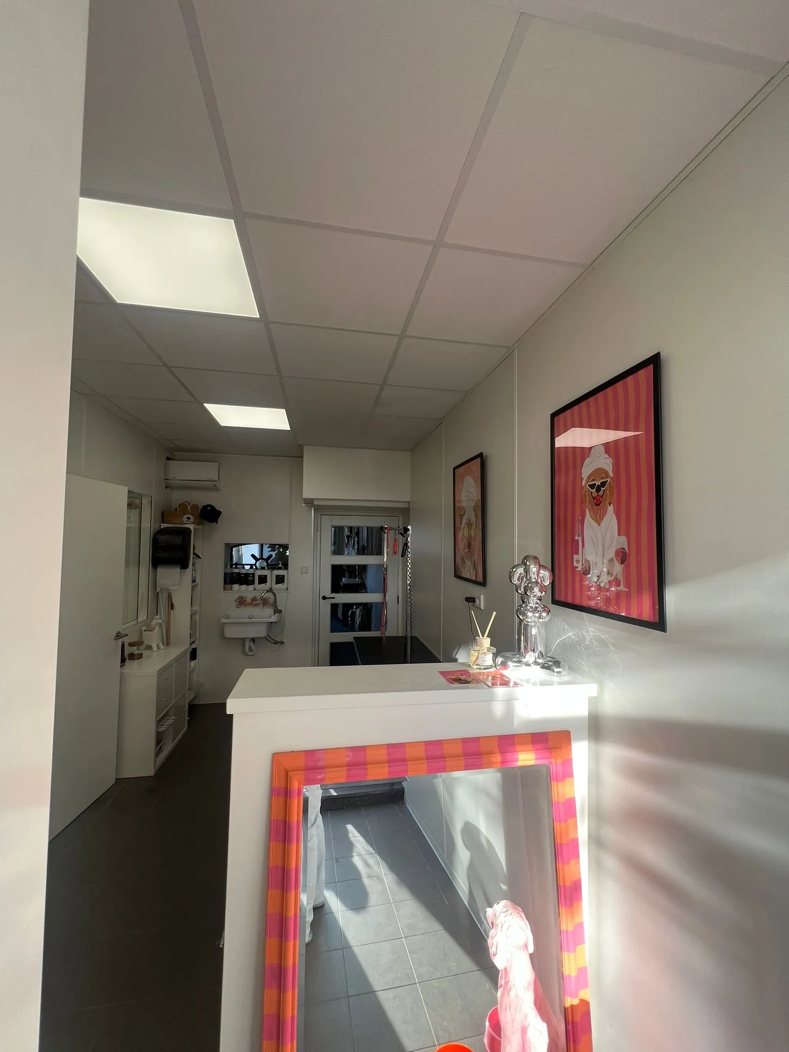 De werkplek van hondentrimsalon Studiofur, gezien van binnen