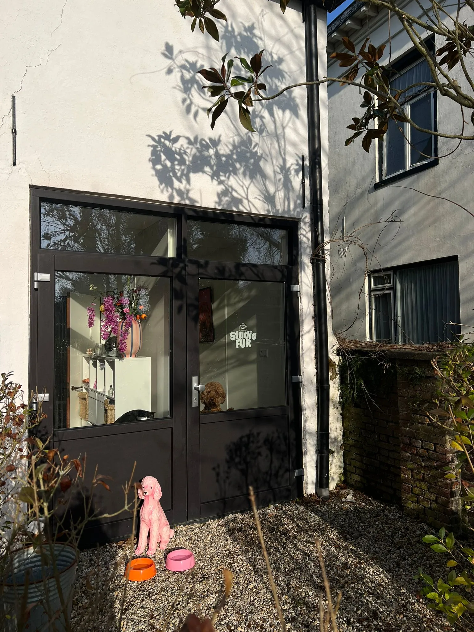 Voorkant en ingang van hondentrimsalon Studiofur, gezien van buiten