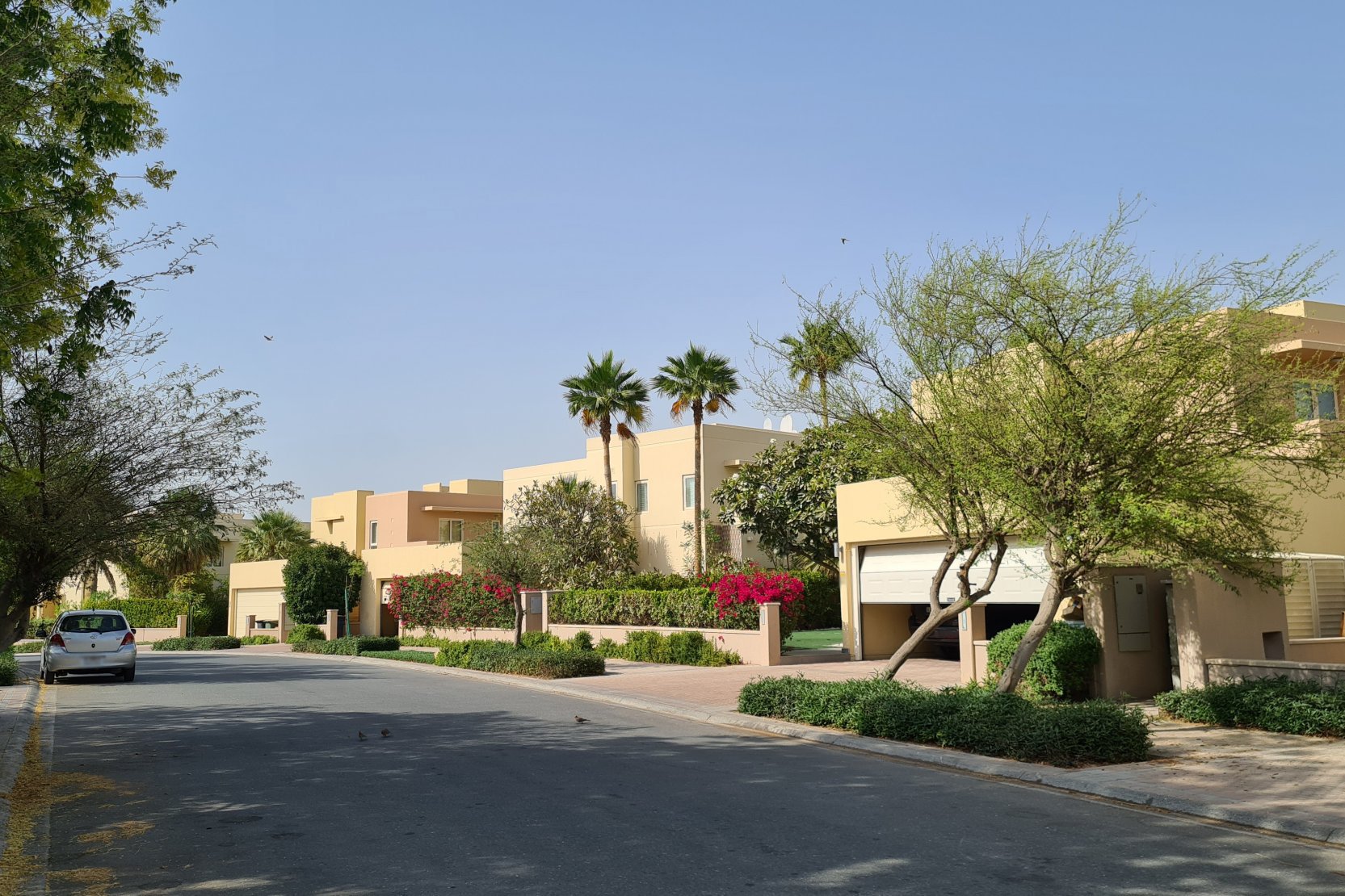 Arabian Ranches - Savannah