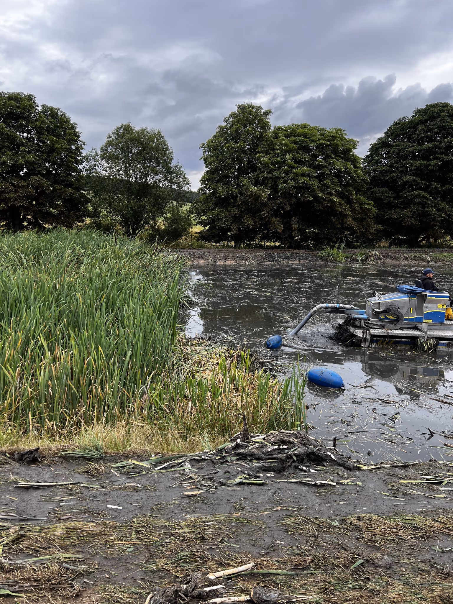 Mann bedient eine Maschine, die Schilf aus einem schlammigen Teich entfernt, mit Bäumen und bewölktem Himmel im Hintergrund.