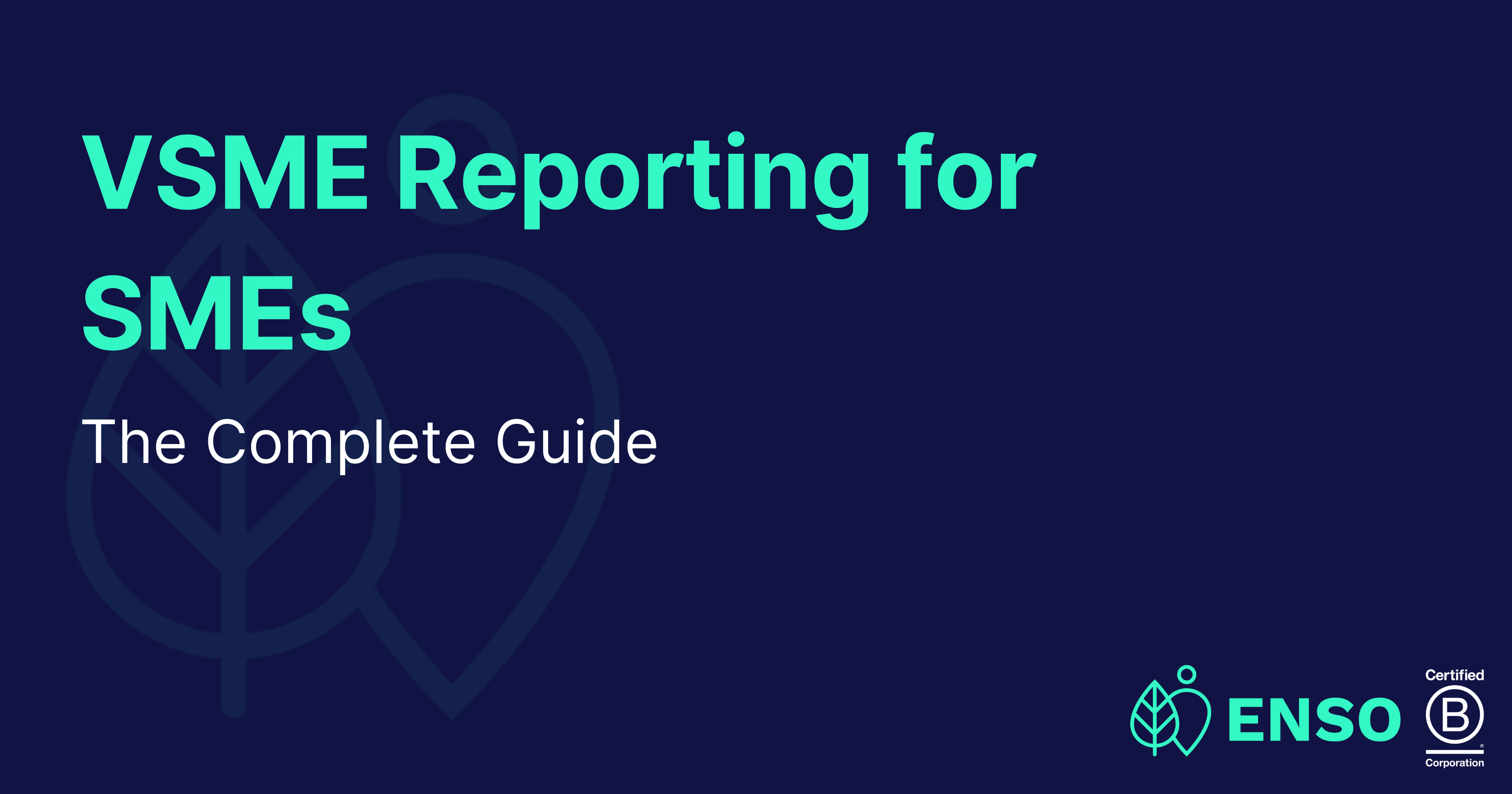 VSME Reporting for SMEs: The Complete Guide