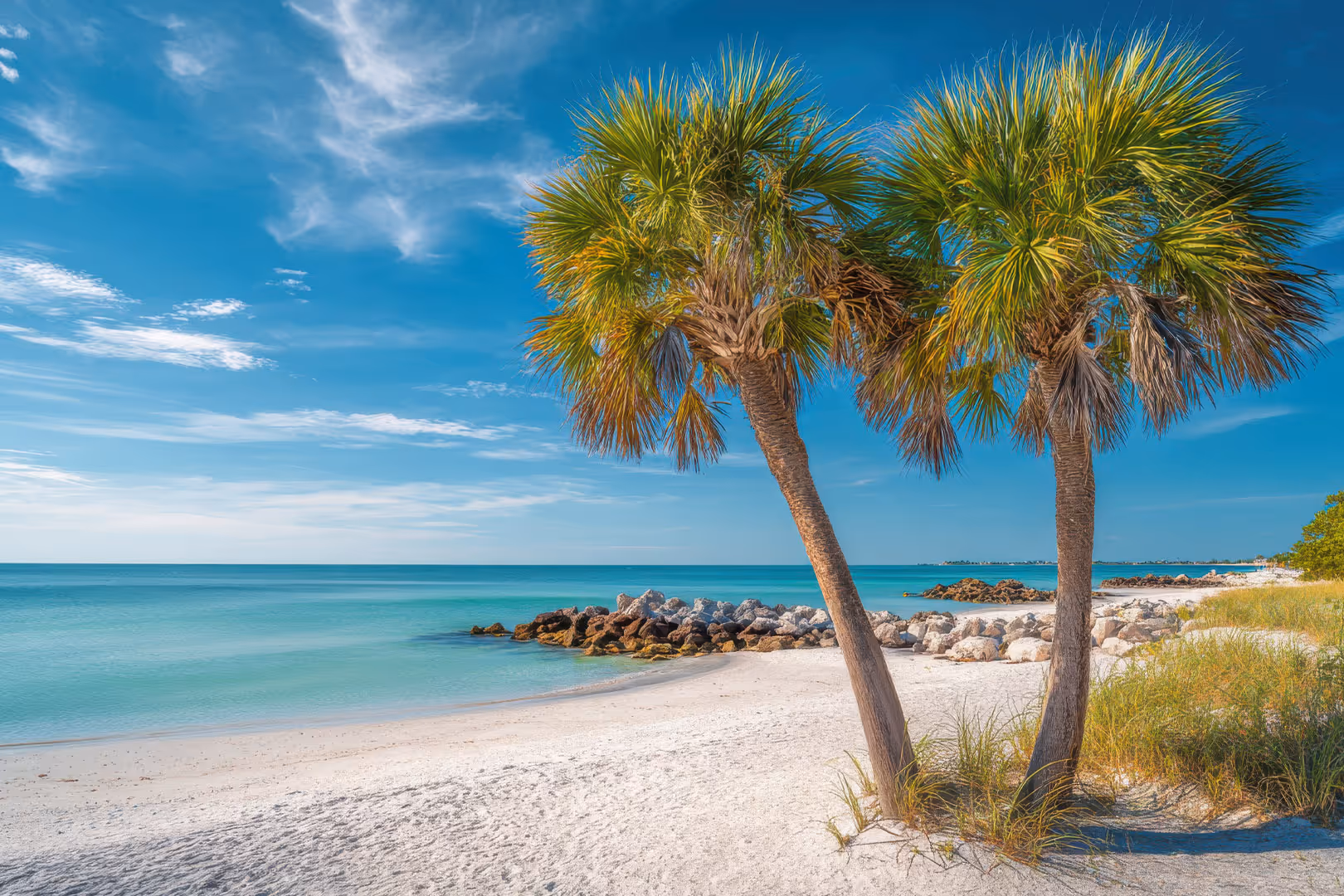 Two palm trees on a sandy beach with turquoise water and rocks under a blue sky.