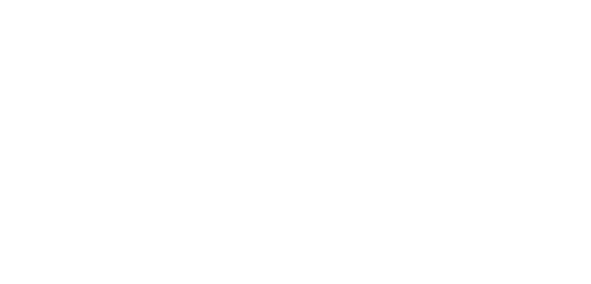 Salt Security Logo