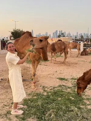 Barrett in white dress feeding a camel green leaves in a sandy area with camels and city skyline in the background.