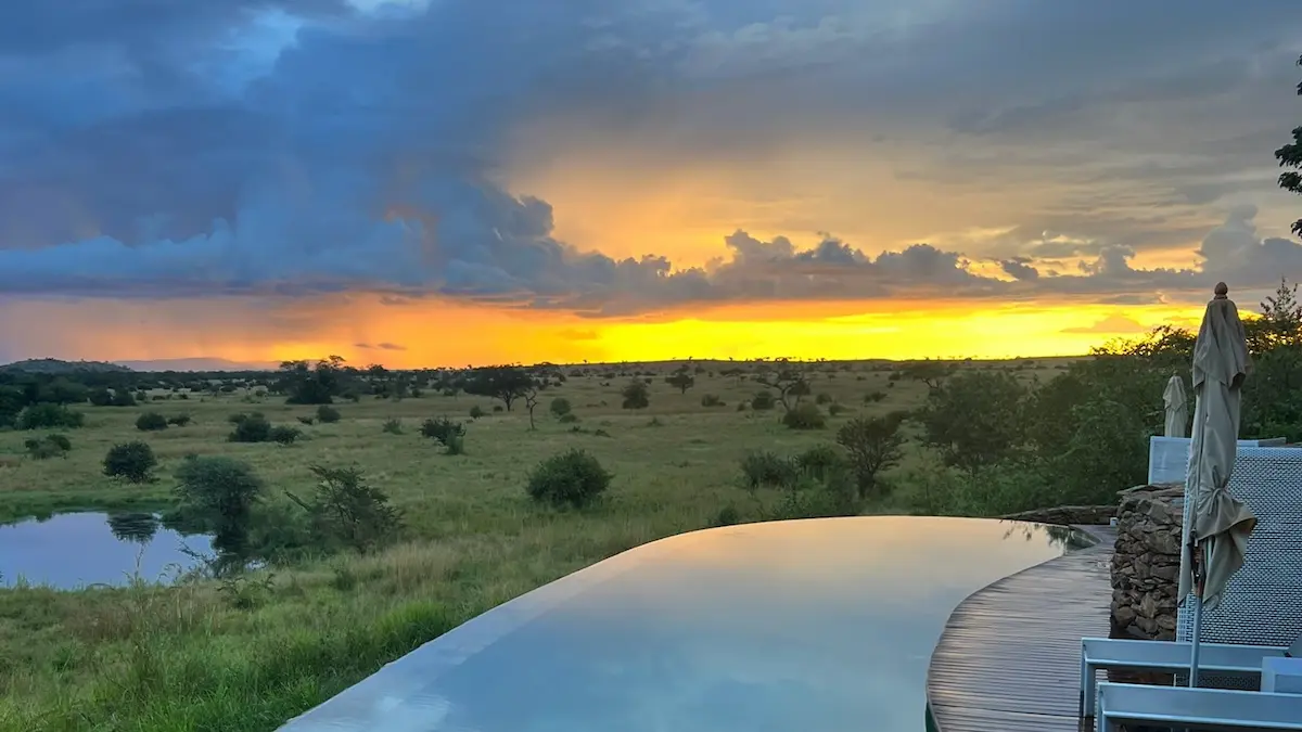 Infinity pool overlooking a grassy savanna with scattered trees under a vibrant yellow and blue sunset sky.