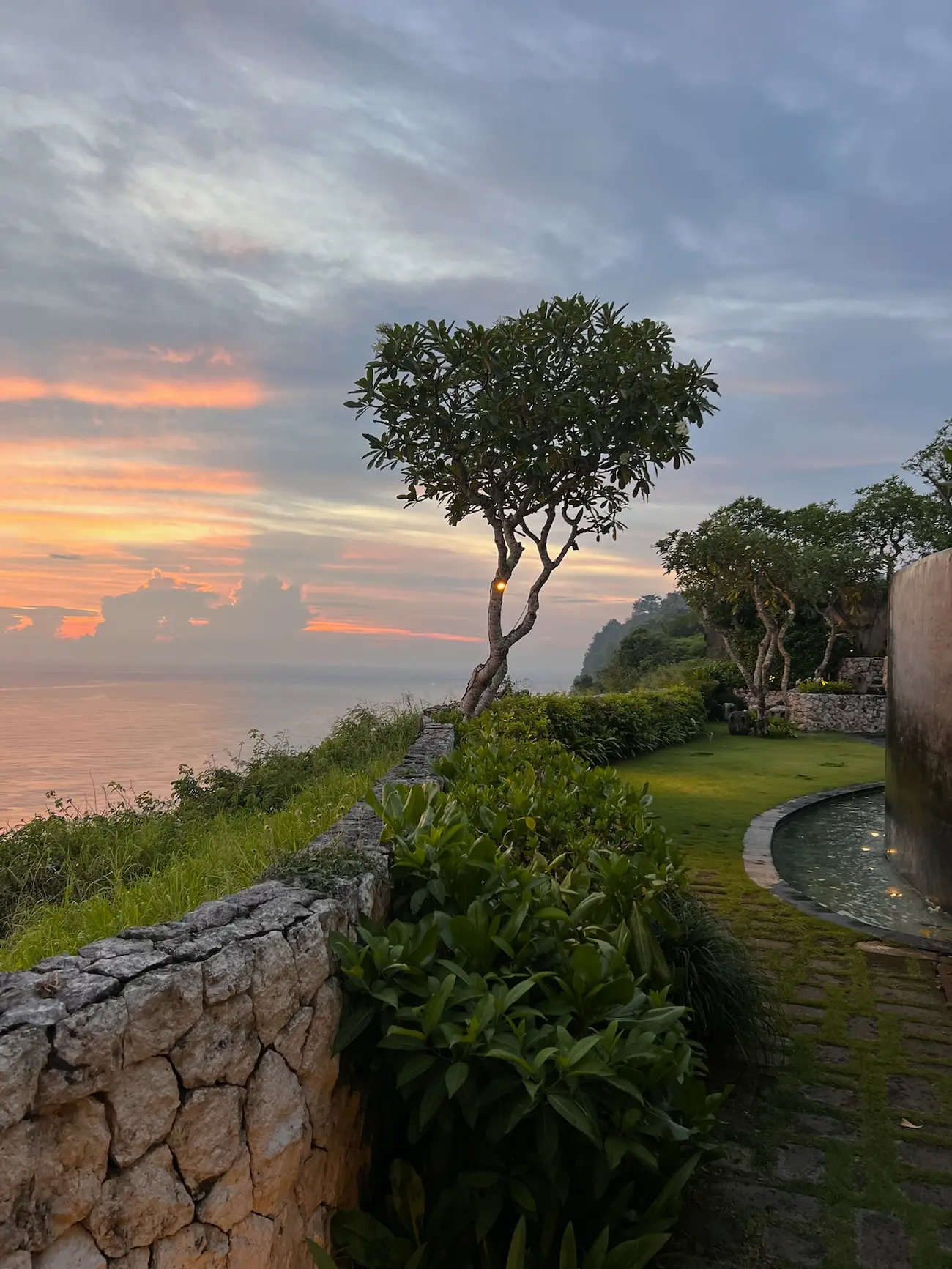 Stone wall and green shrubs along a walkway beside a small tree overlooking the ocean at sunset with colorful clouds.