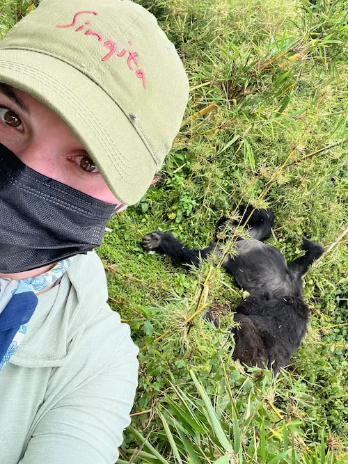 Barrett wearing a green Singita cap and black face mask taking a selfie near a resting gorilla on grassy terrain.