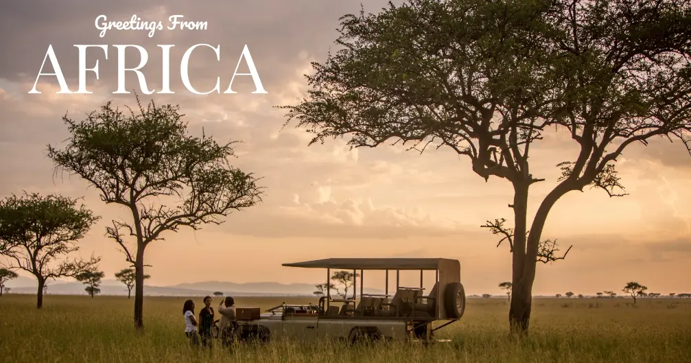 Safari vehicle and three people standing in tall grass with acacia trees at sunset, with text 'Greetings From AFRICA'.