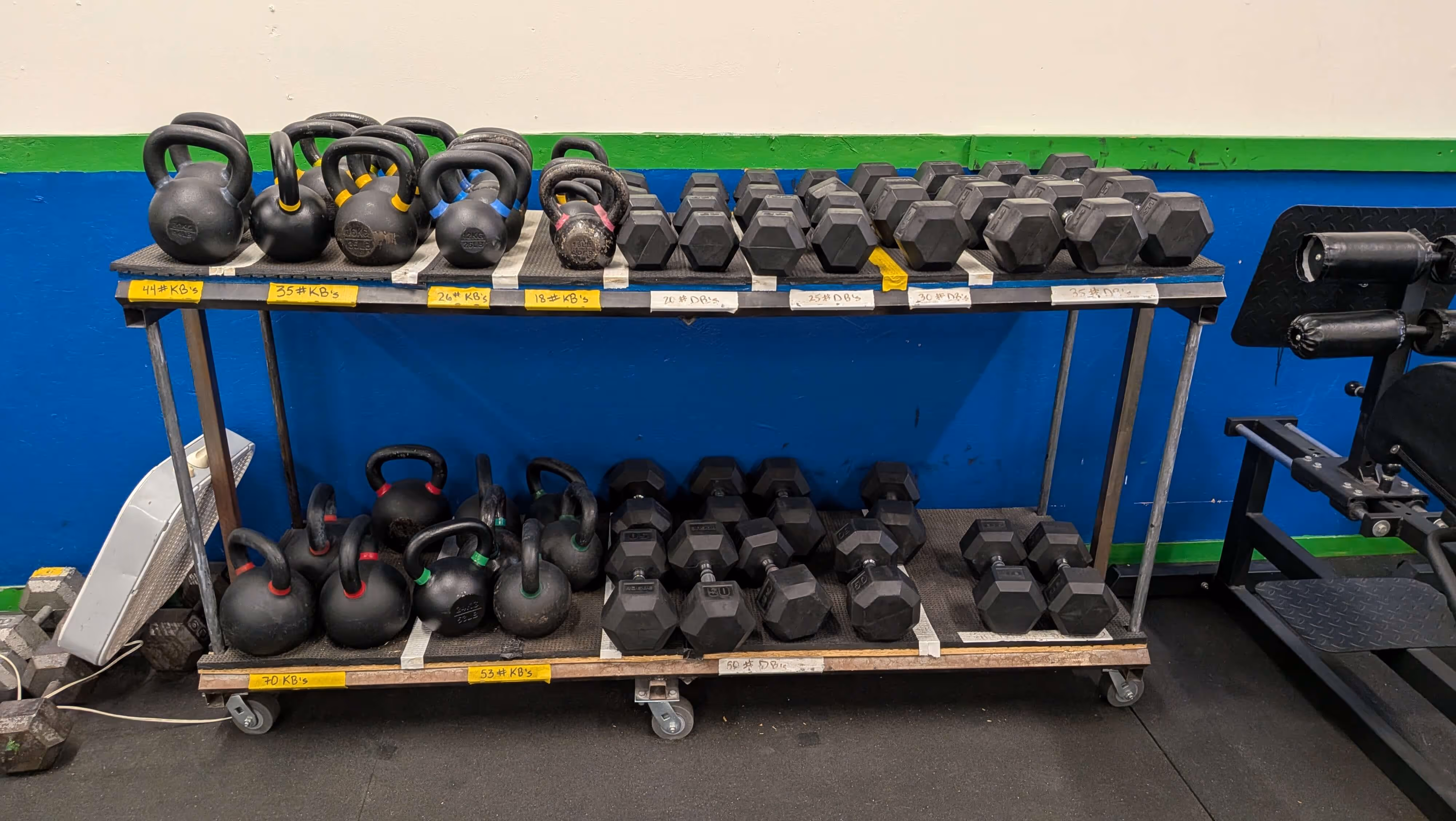 Metal rack holding various black kettlebells and hex dumbbells organized by weight with yellow and white labels, against a blue and green wall in a gym. Trailhead Physical Therapy and Performance