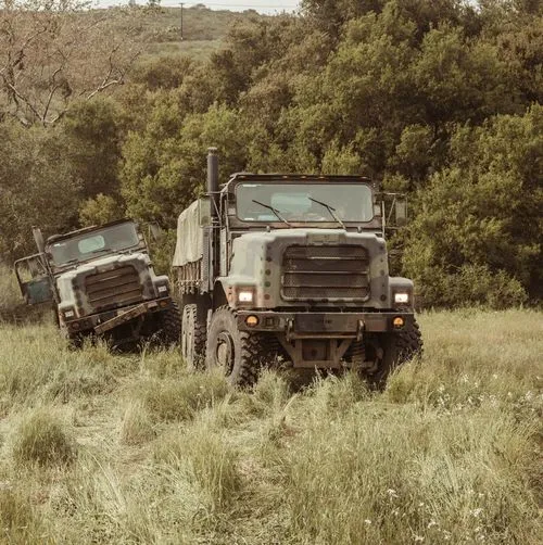 Vehicle moving through woodland.