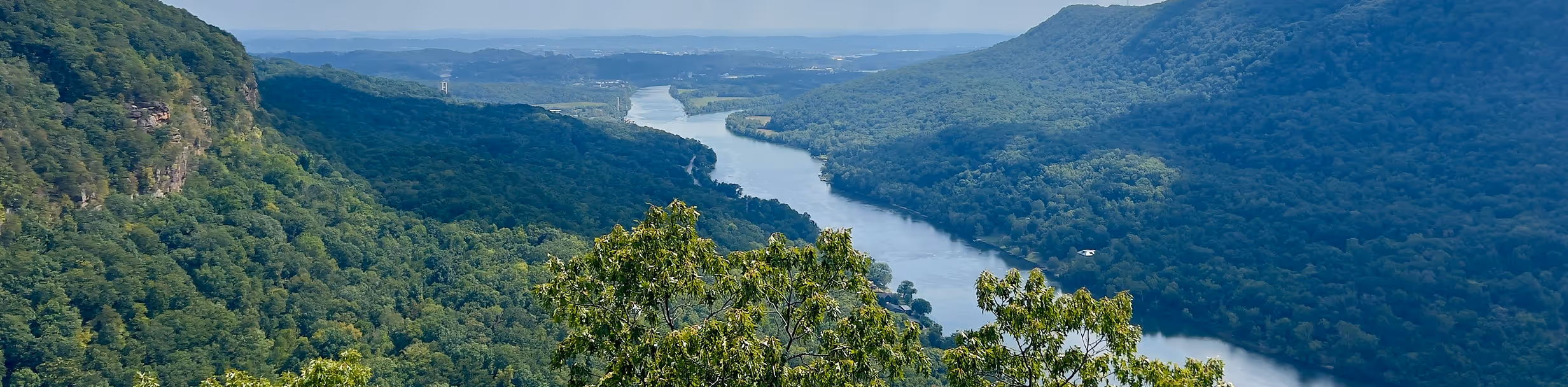 Panoramic view of a river flowing through a forested mountain.