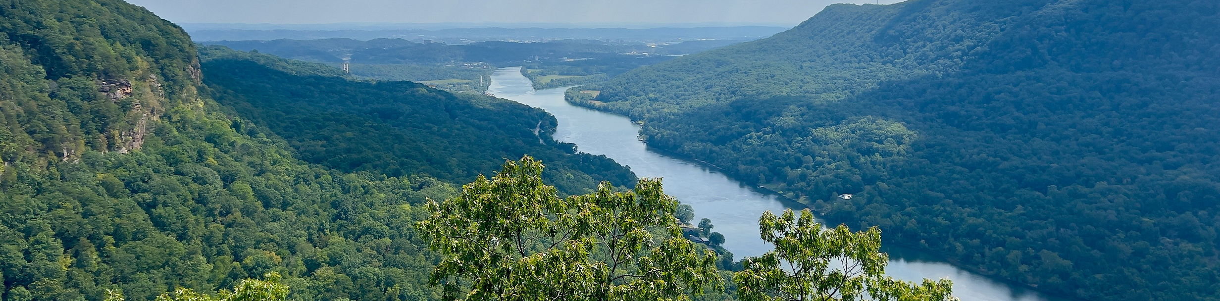 Panoramic view of a river flowing through a forested mountain.