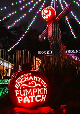 Enchanted Pumpkin Patch, Rock City