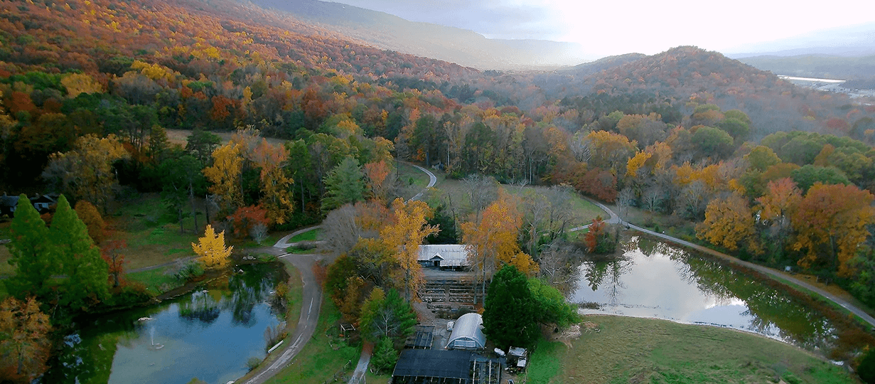 Historic Conservation Easement at Reflection Riding.