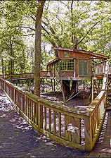 Wooden board walk at Reflection Riding.