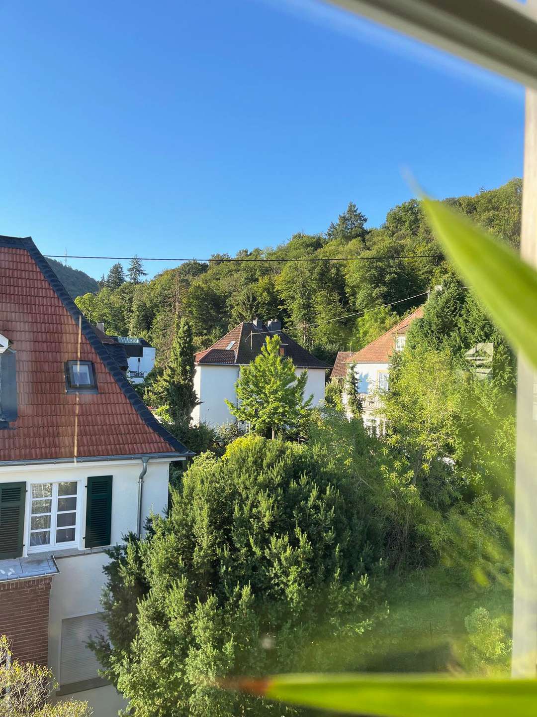 2.Stock Blick nach draußen 