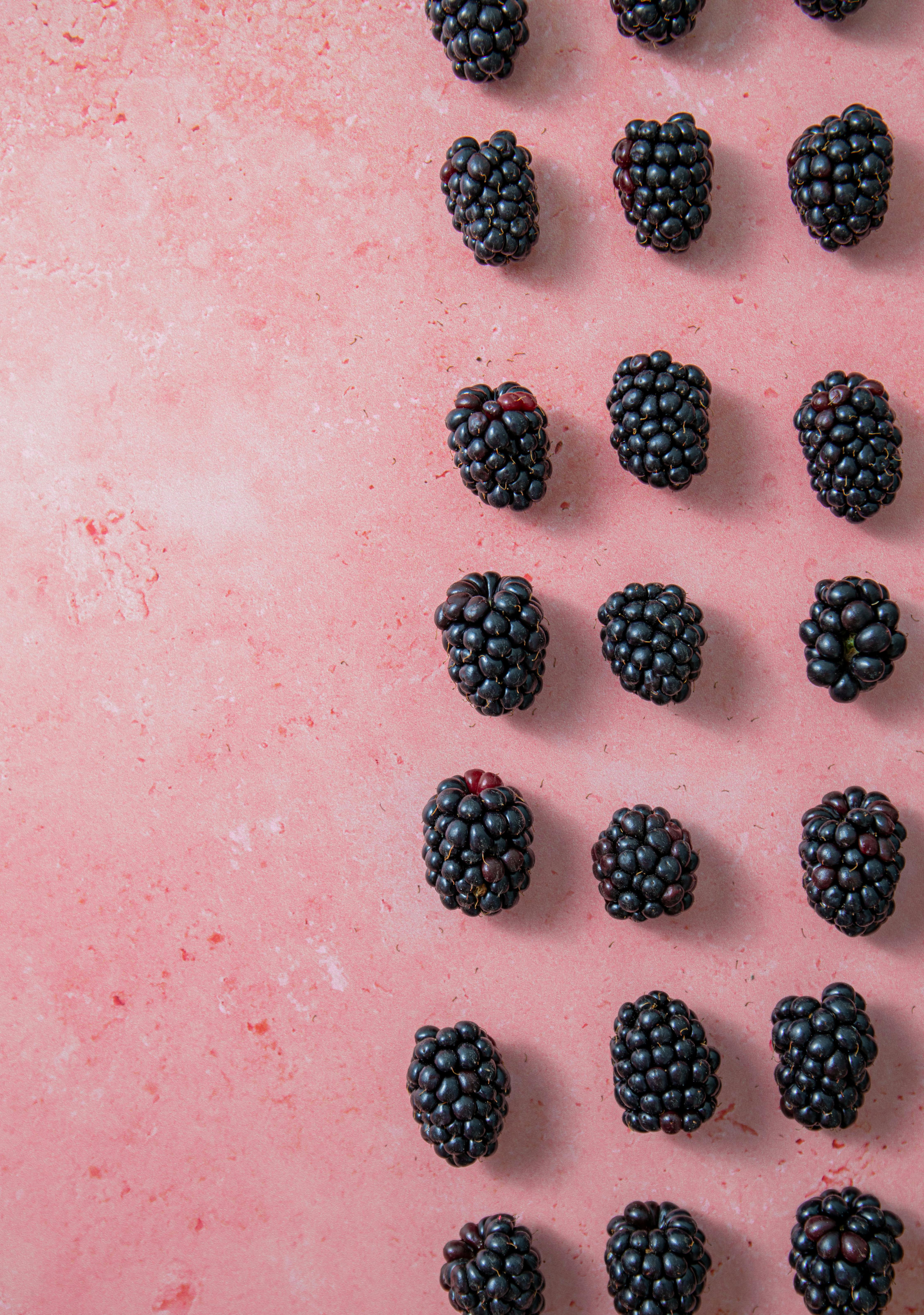 Rows of fresh blackberries arranged on a pink textured background.