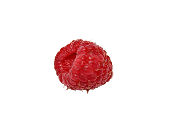 Close-up of a single ripe red raspberry with detailed texture on a transparent background.