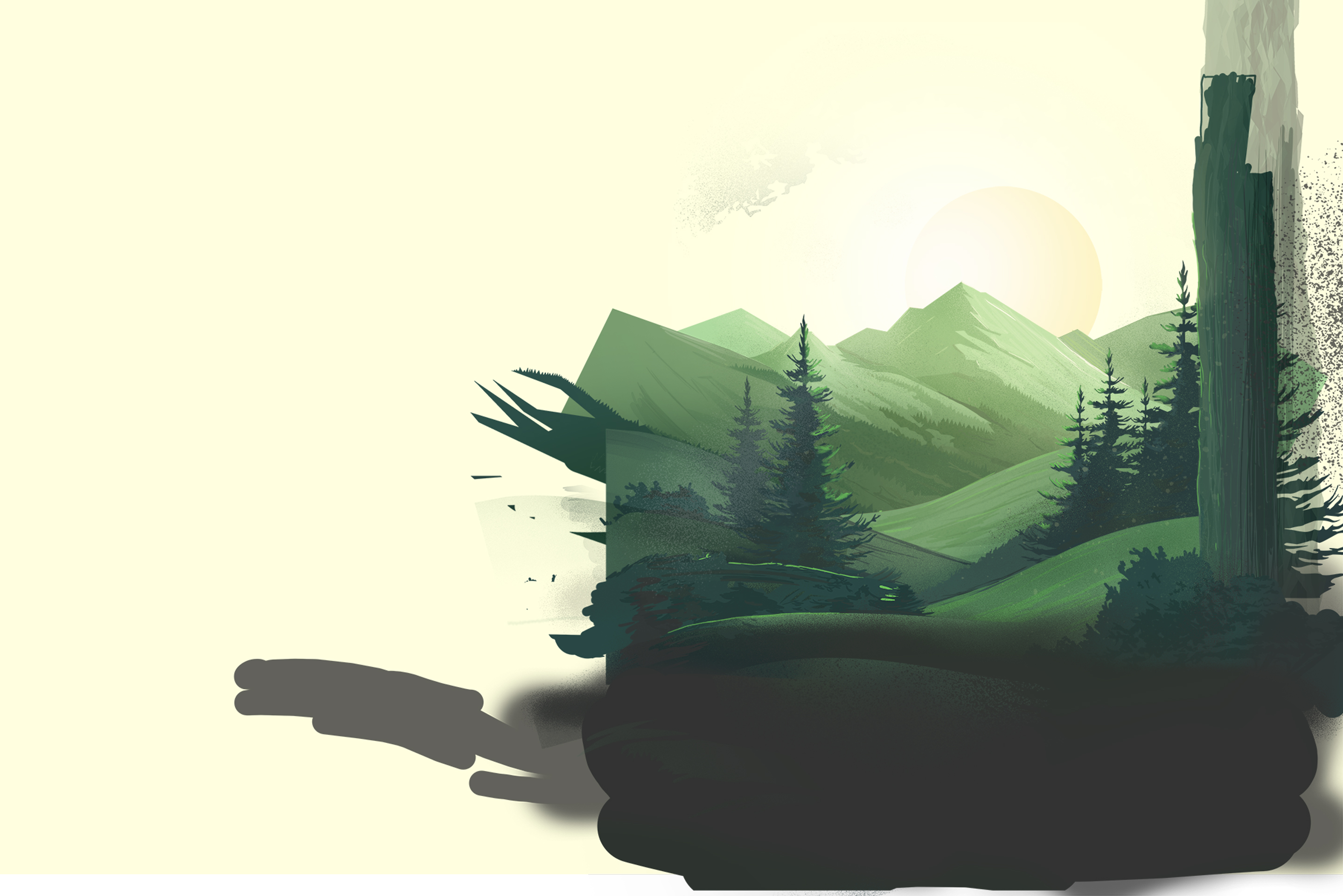 A forest background