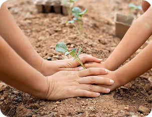 Adults and child hands together planting a small seedling in soil.