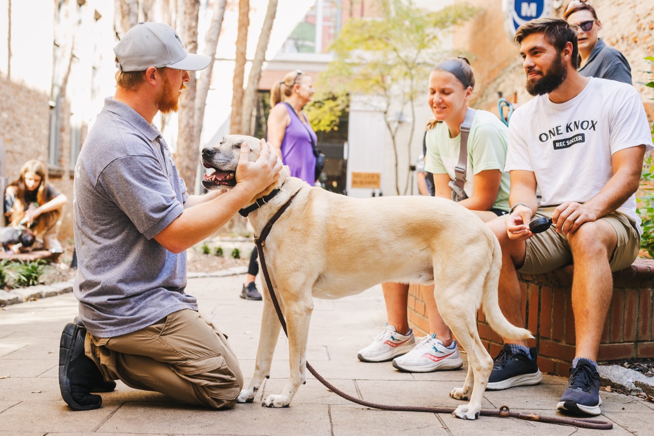 Man kneeling and petting a large dog on a leash while three people sit and watch in an outdoor urban setting.