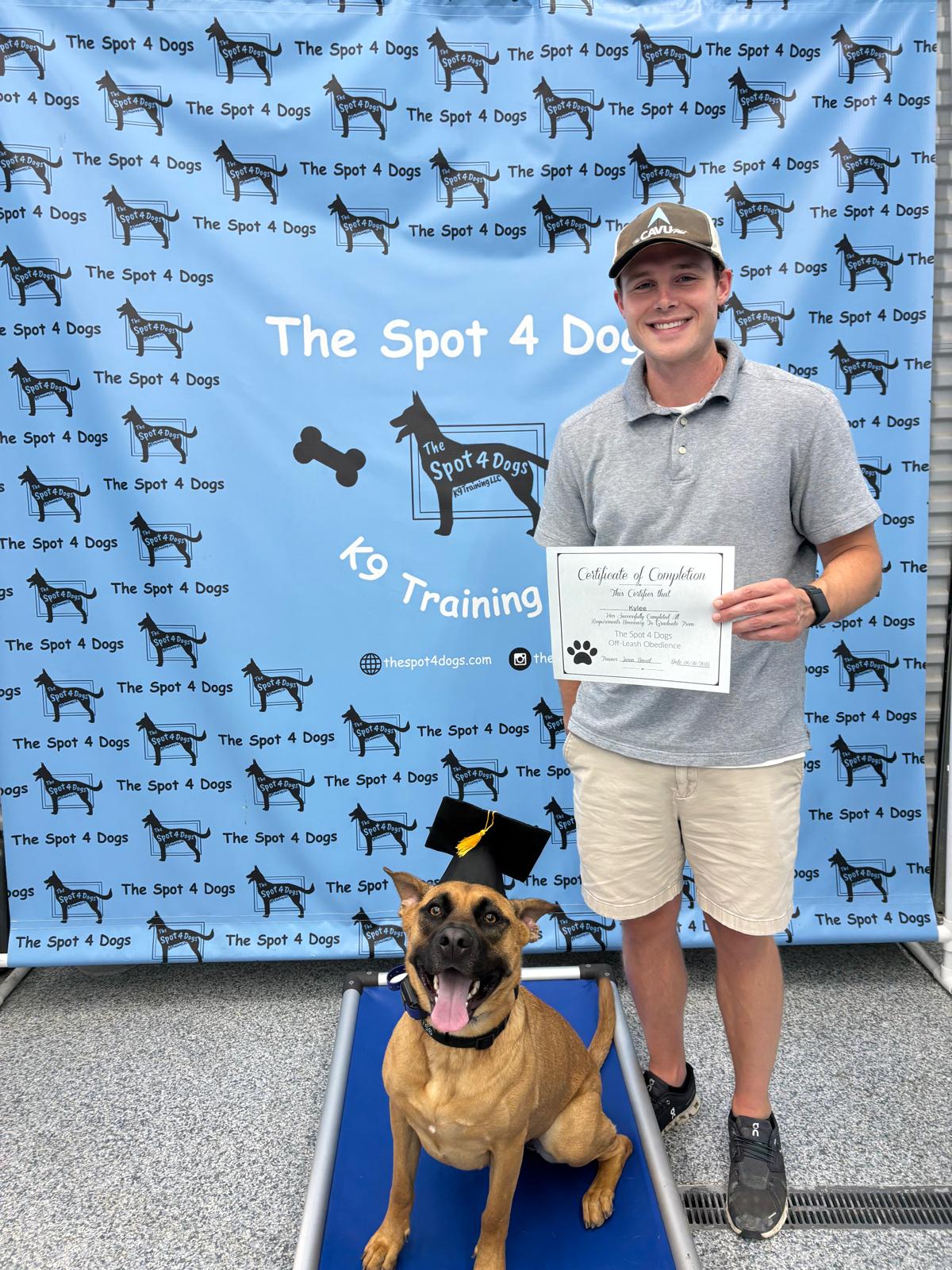 Man wearing a cap and gray polo shirt holding a certificate, standing next to a happy dog with a graduation cap sitting on a blue platform in front of a blue backdrop with 'The Spot 4 Dogs K9 Training' logos.