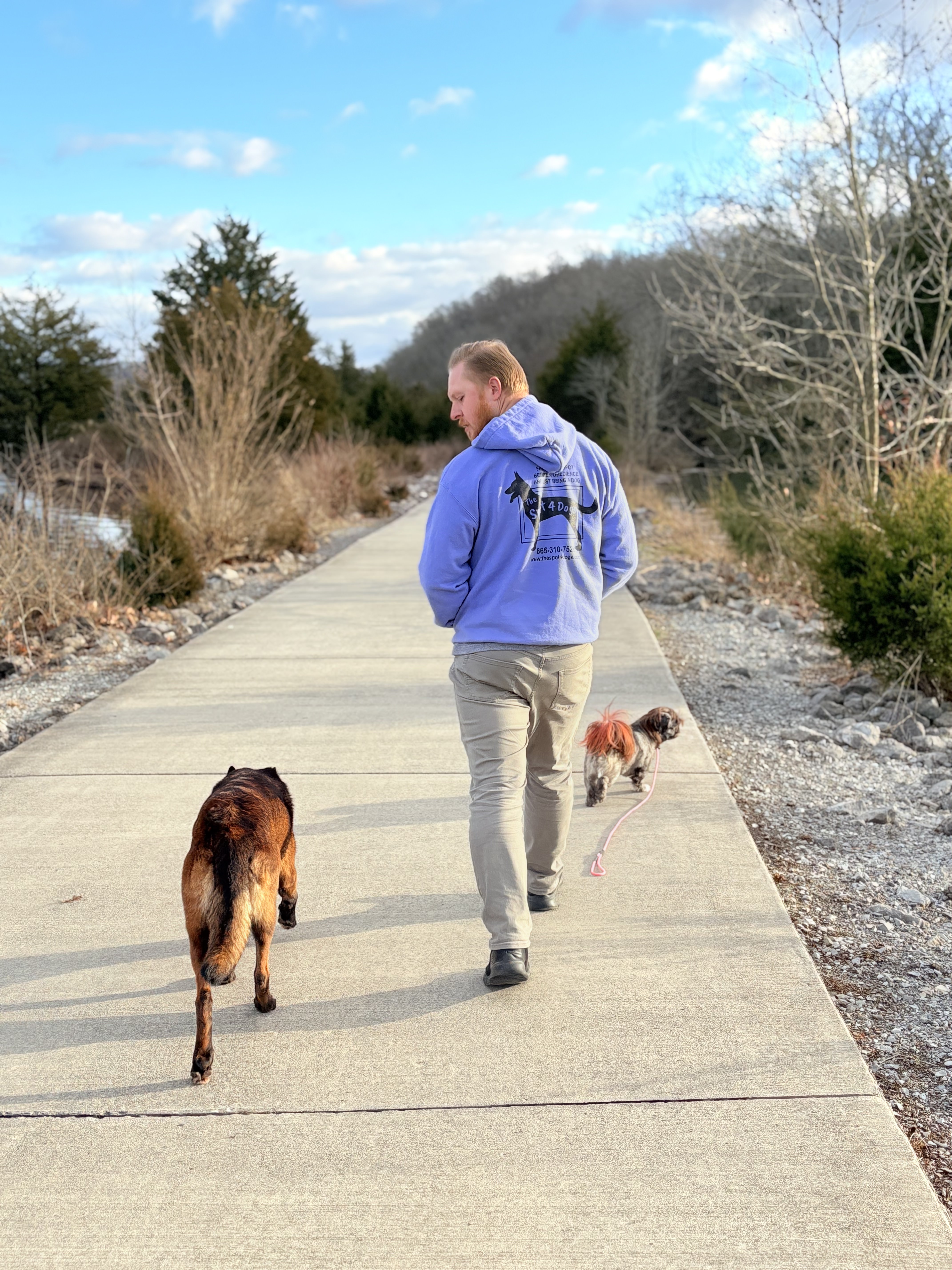 Man in blue hoodie walking two dogs on a paved path surrounded by leafless trees and shrubs under a blue sky.