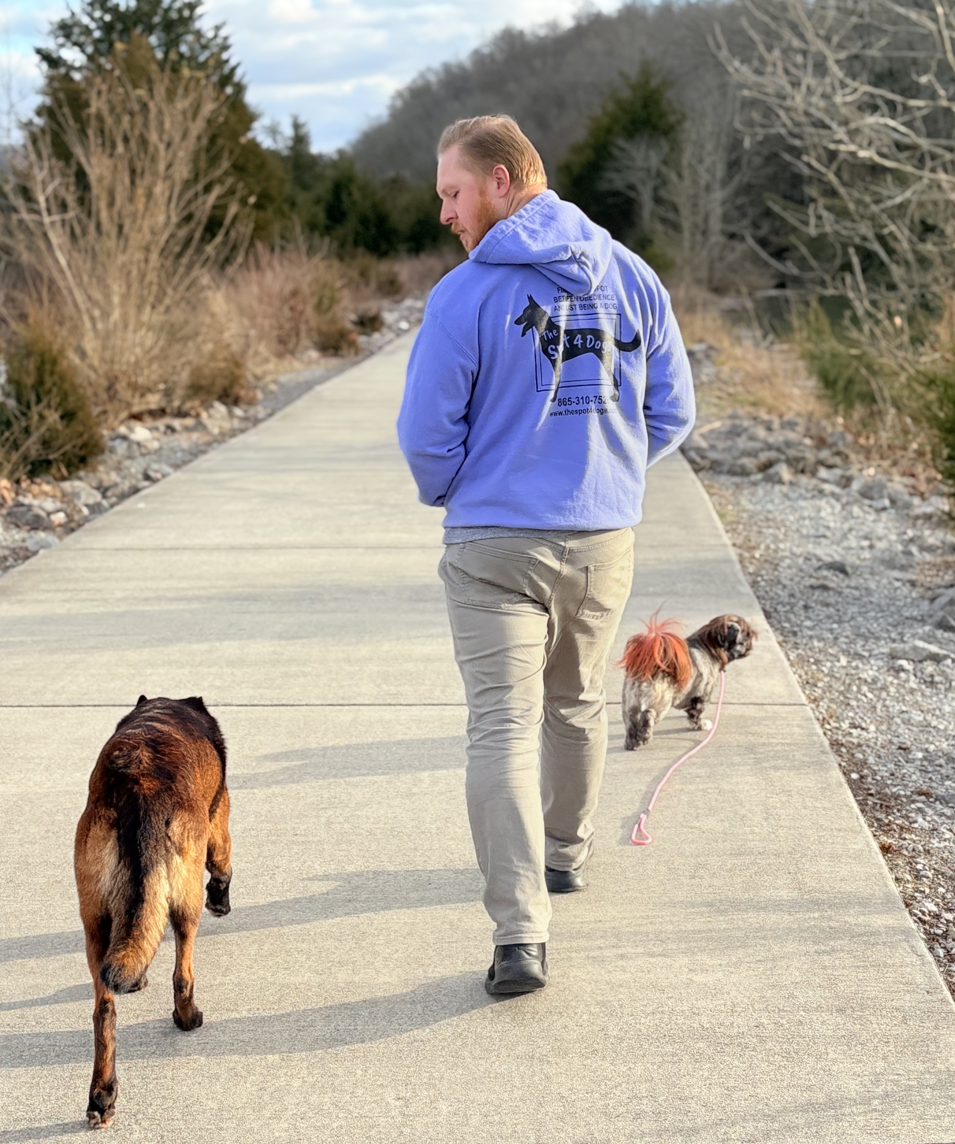 Man walking two dogs on a paved path in a natural park area during daytime.