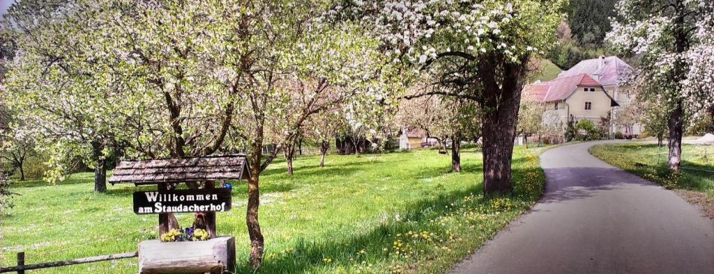 image of a transportation seminar