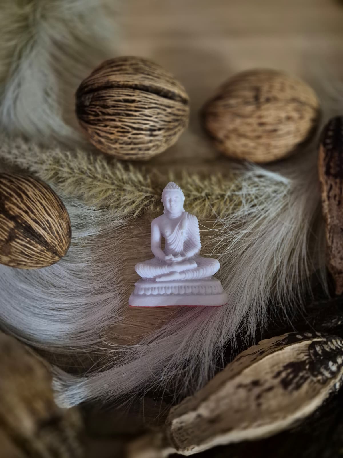 yoga membership card