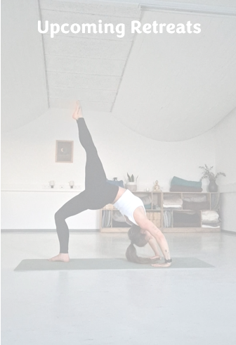 [background image] image of a dance studio interior (for a dance studio)