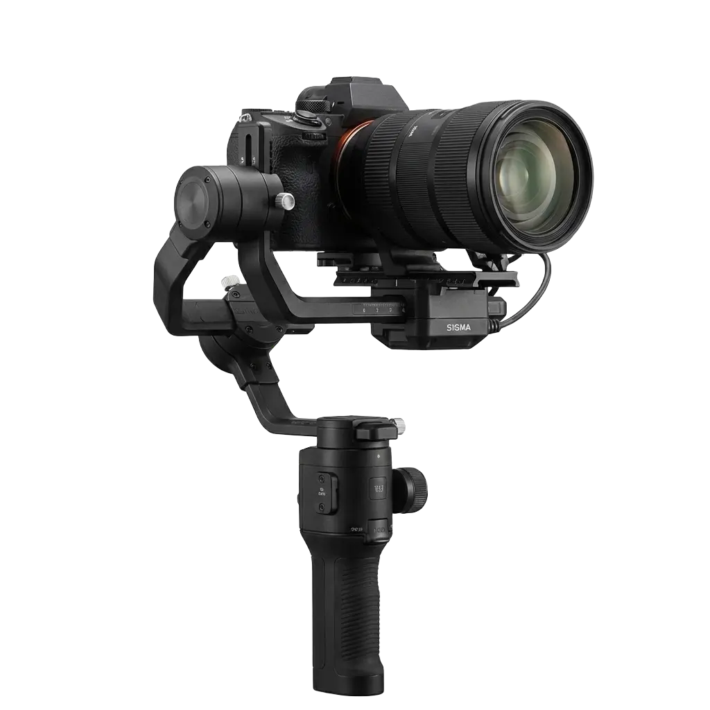 Professional DSLR camera mounted on a handheld stabilizer gimbal rig with a large zoom lens attached.