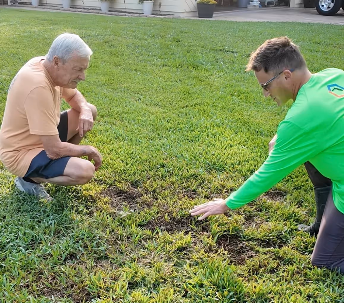 Two men kneeling on a lawn inspecting patches of damaged or uprooted grass.