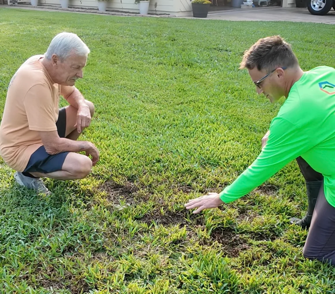 Two men examining a patch of damaged grass on a lawn, one older man crouching and one younger man kneeling and touching the grass.