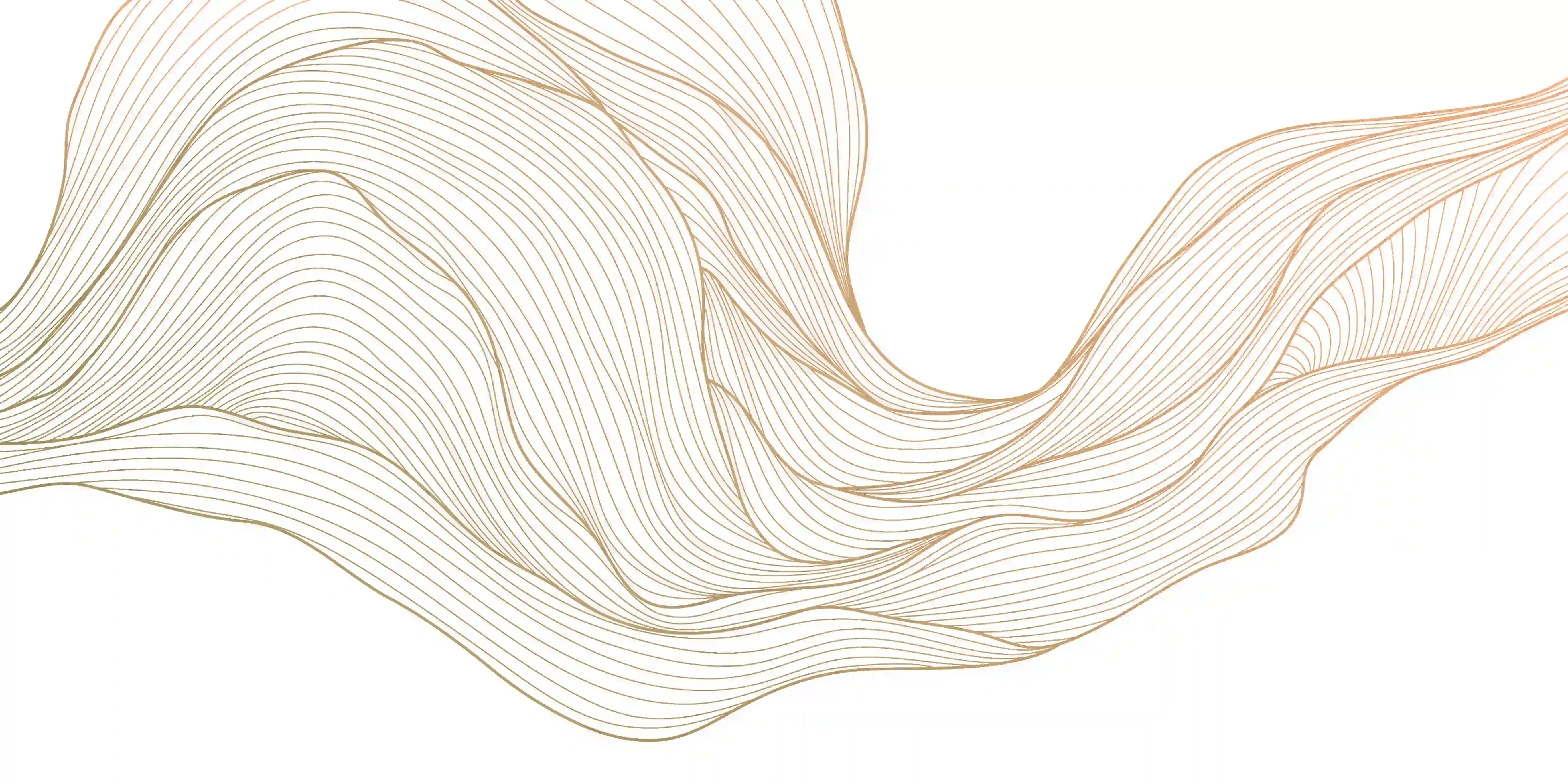 Abstract flowing wave formed by thin golden lines on a white background.