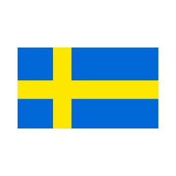 Swedish flag. Sweden flag. Vector. 27739406 Vector Art at Vecteezy